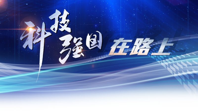 运维工程师的职业发展路径：从技术到管理的华丽转身**