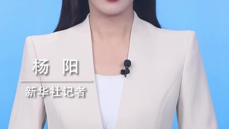 制造业研发外包与内包：选择之道